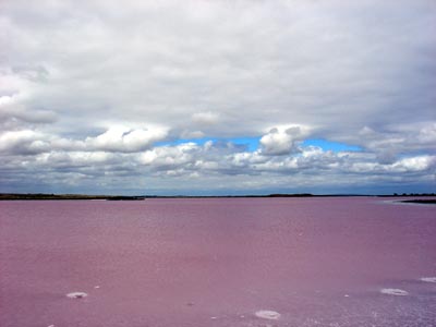 Pink lake, with clouds above